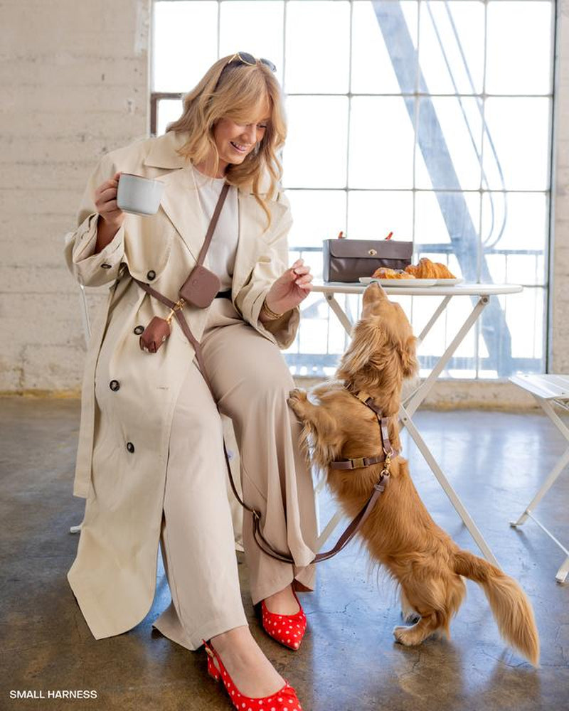 4-In-1 Convertible Hands Free Cloud Dog Leash, 8.5-Ft Long, 5/8-In Wide