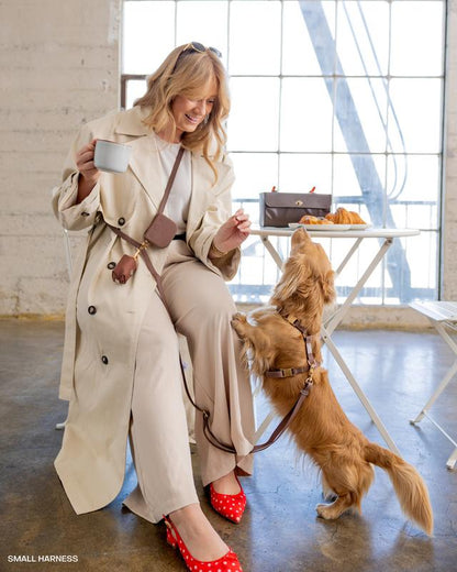 4-In-1 Convertible Hands Free Cloud Dog Leash, 8.5-Ft Long, 5/8-In Wide