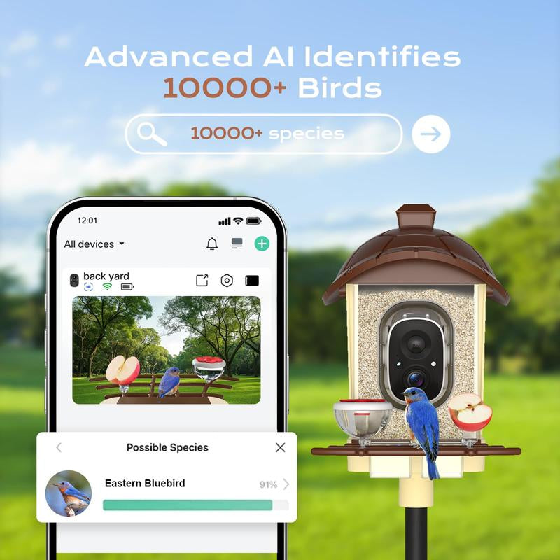 Smart Bird Feeder with Camera 2K HD Live Video Solar Powered AI Bird Species Identification Auto Capture Video Instant Arrival Alerts Ideal Gift for Mom Dad Bird Lovers
