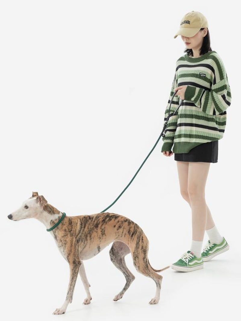 Hidream Nylon Rope Leash with Anti-Choking and Tangle-Free Design