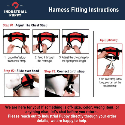 Service Dog Vest with Hook and Loop Straps and Matching Service Dog Leash Set - Harnesses from XXS to XXL - Harness Features Reflective Patch and Comfortable Mesh Design