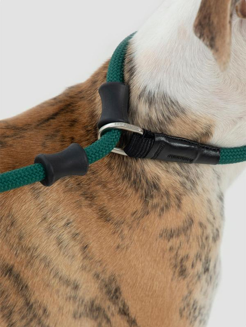 Hidream Nylon Rope Leash with Anti-Choking and Tangle-Free Design