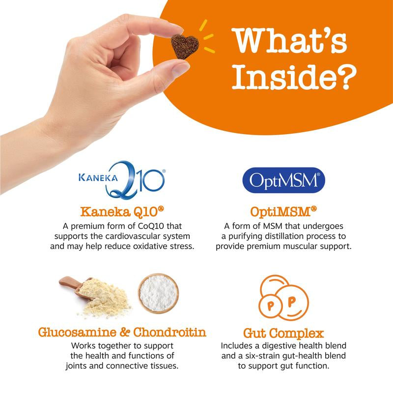 Zesty Paws 8-In-1 Chewable Multivitamin Bite for Dogs, Soft Chew Immune Support Dog Treats Supplement 8 in Dog Supplements