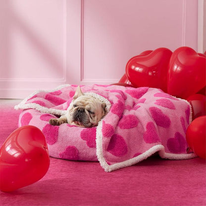 Lesure Waterproof Pet Blanket for Dogs & Cats - Cozy Winter Dual-Sided Jacquard Shag & Sherpa Fleece, 3D Textured Cloud Pattern, Machine Washable, Durable & Portable for Cold Weather Comfort, Soft Couch Protector & Bed Mat