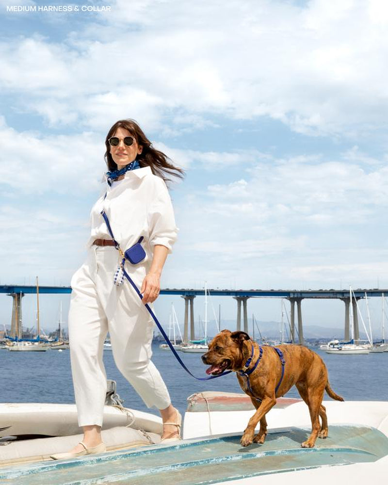 4-In-1 Convertible Hands Free Cloud Dog Leash, 8.5-Ft Long, 5/8-In Wide