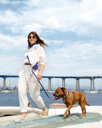 4-In-1 Convertible Hands Free Cloud Dog Leash, 8.5-Ft Long, 5/8-In Wide