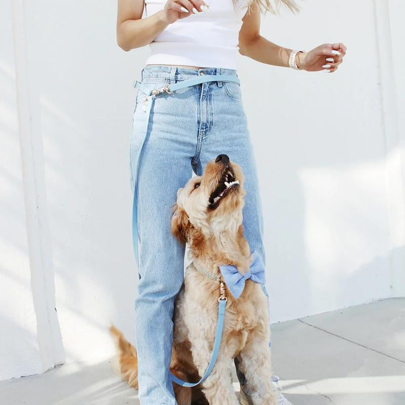 4-In-1 Convertible Hands Free Cloud Dog Leash, 8.5-Ft Long, 5/8-In Wide