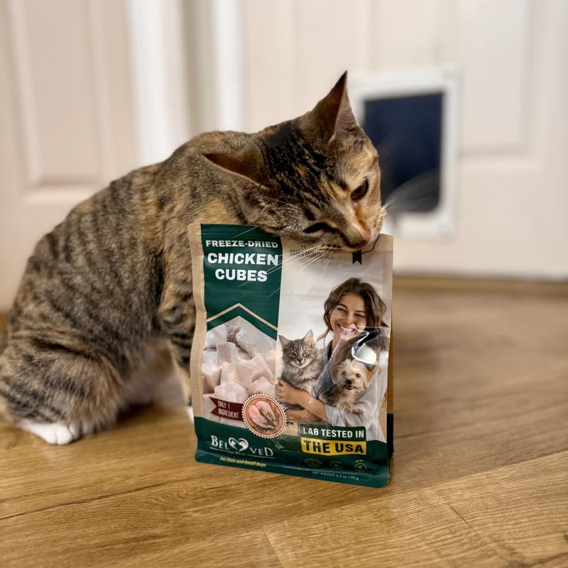Freeze-Dried Chicken Treats for Cats and Small Dogs