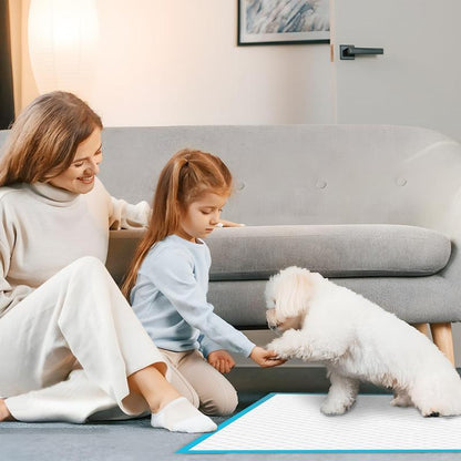 Goofypet 13" X 18" Training Pad, 100 Count Dog Pee Pads, Doggie Pads, Disposable Puppy Pee Pads