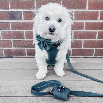 Adjustable Corduroy Dog Harness - Moss