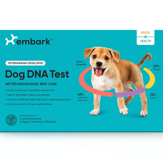 Breed + Health Dog DNA Test