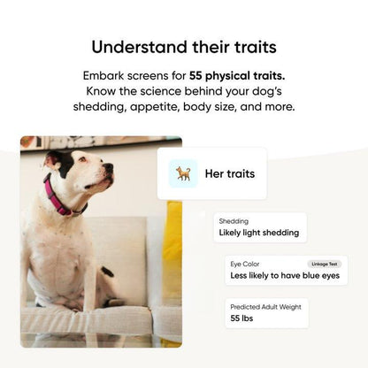 Breed + Health Dog DNA Test