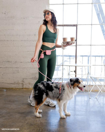 4-In-1 Convertible Hands Free Cloud Dog Leash, 8.5-Ft Long, 5/8-In Wide