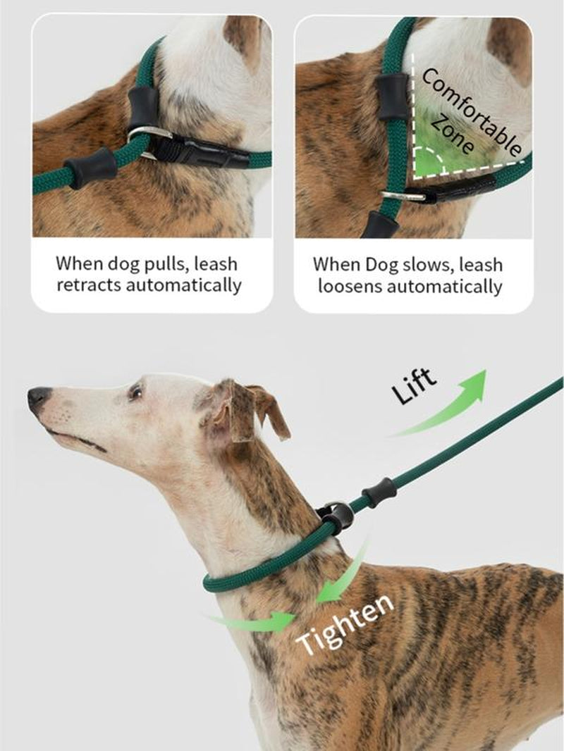 Hidream Nylon Rope Leash with Anti-Choking and Tangle-Free Design