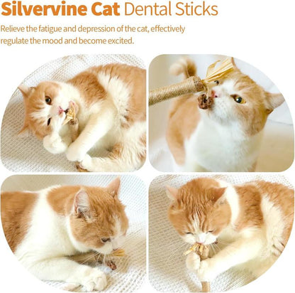 Premium Cat Chew Stick Toy, Natural Silvervine Sticks Cat Toys, Catnip Alternative Cat Chew Toys Teeth Cleaning, Matatabi Cat Treat, Edible Kitty Toys