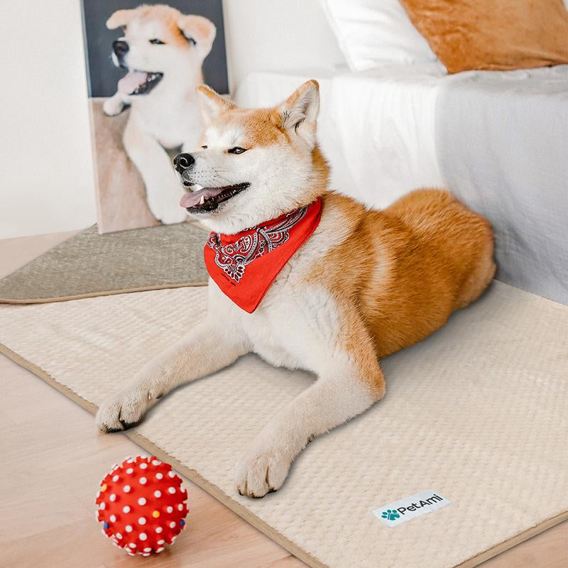 Petami Waterproof Dog Blanket, Leakproof Puppy Blanket for Small Medium Large Dogs, Furniture Bed Sofa Couch Cover Protector, Fleece Pet Throw for Indoor Cat Kitten, Reversible Washable Soft Plush