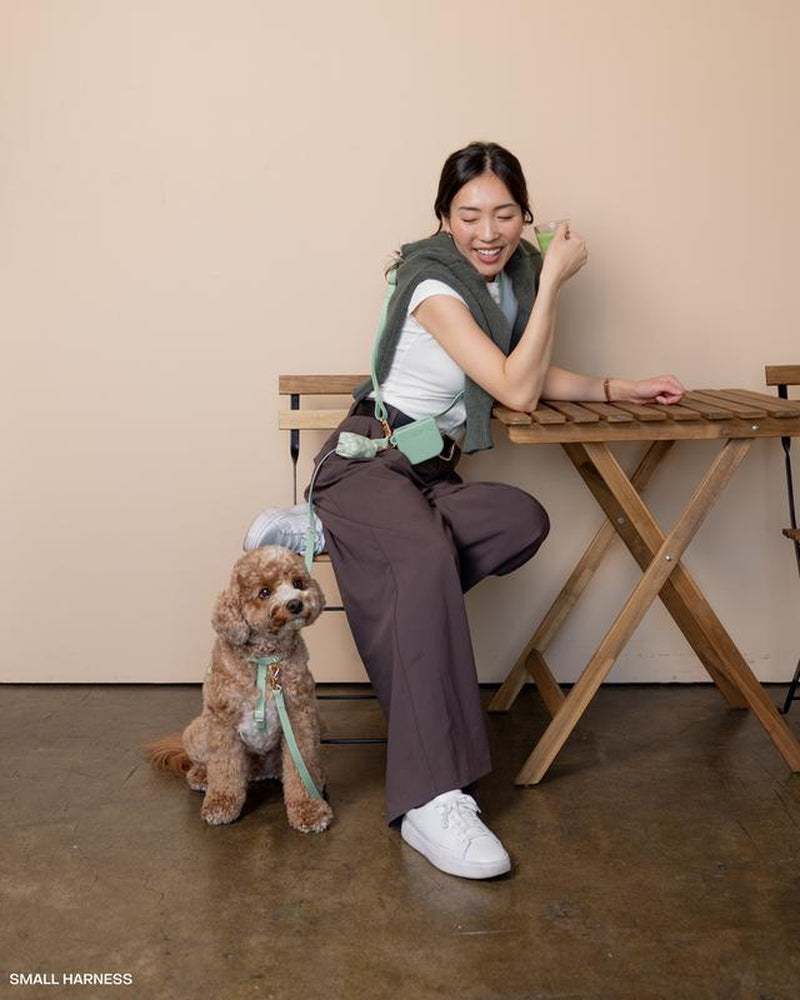 4-In-1 Convertible Hands Free Cloud Dog Leash, 8.5-Ft Long, 5/8-In Wide