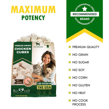 Freeze-Dried Chicken Treats for Cats and Small Dogs