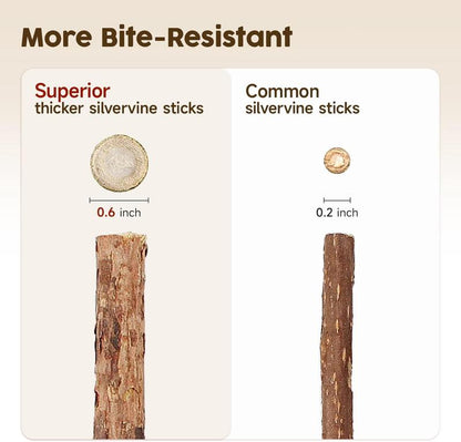 Premium Cat Chew Stick Toy, Natural Silvervine Sticks Cat Toys, Catnip Alternative Cat Chew Toys Teeth Cleaning, Matatabi Cat Treat, Edible Kitty Toys