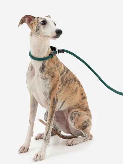 Hidream Nylon Rope Leash with Anti-Choking and Tangle-Free Design