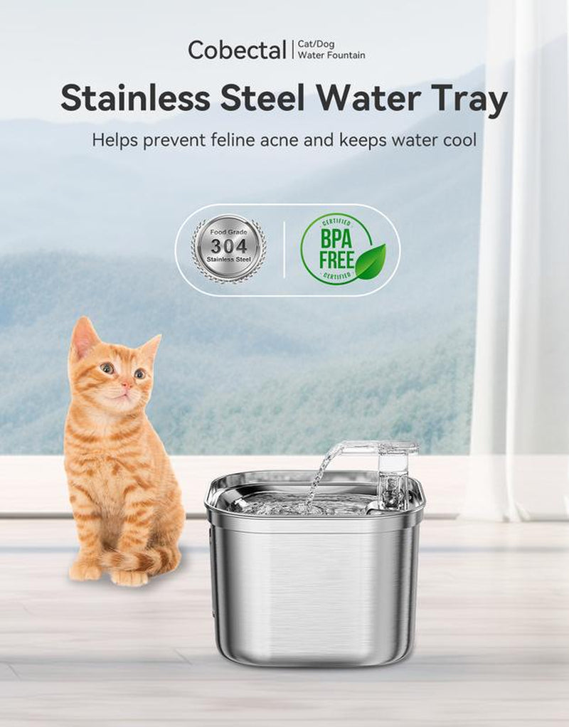 Upgrade Cat Water Fountain Stainless Steel, 74Oz/2.2L Cat Fountain with Multi-Filter, Cat Fountains for Drinking Stainless Steel, No Sputter, Compact, Easy Cleaning, Suit for Pets Dogs Cat