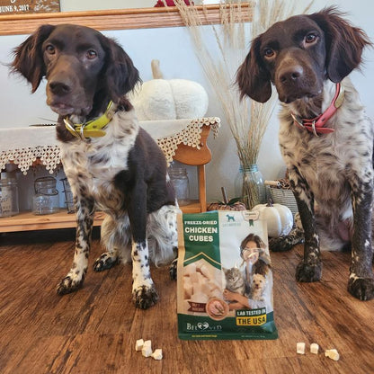 Freeze-Dried Chicken Treats for Cats and Small Dogs