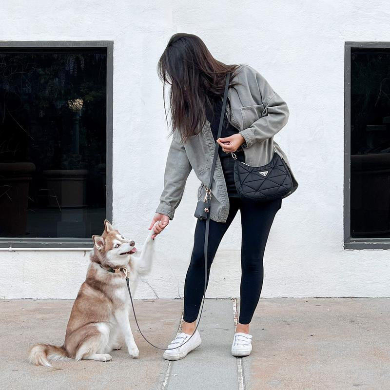 4-In-1 Convertible Hands Free Cloud Dog Leash, 8.5-Ft Long, 5/8-In Wide