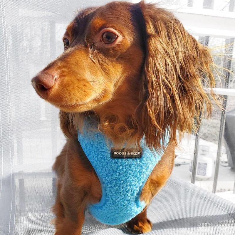 Adjustable Teddy Fabric Dog Harness - Electric Blue