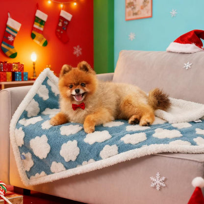 Lesure Waterproof Pet Blanket for Dogs & Cats - Cozy Winter Dual-Sided Jacquard Shag & Sherpa Fleece, 3D Textured Cloud Pattern, Machine Washable, Durable & Portable for Cold Weather Comfort, Soft Couch Protector & Bed Mat