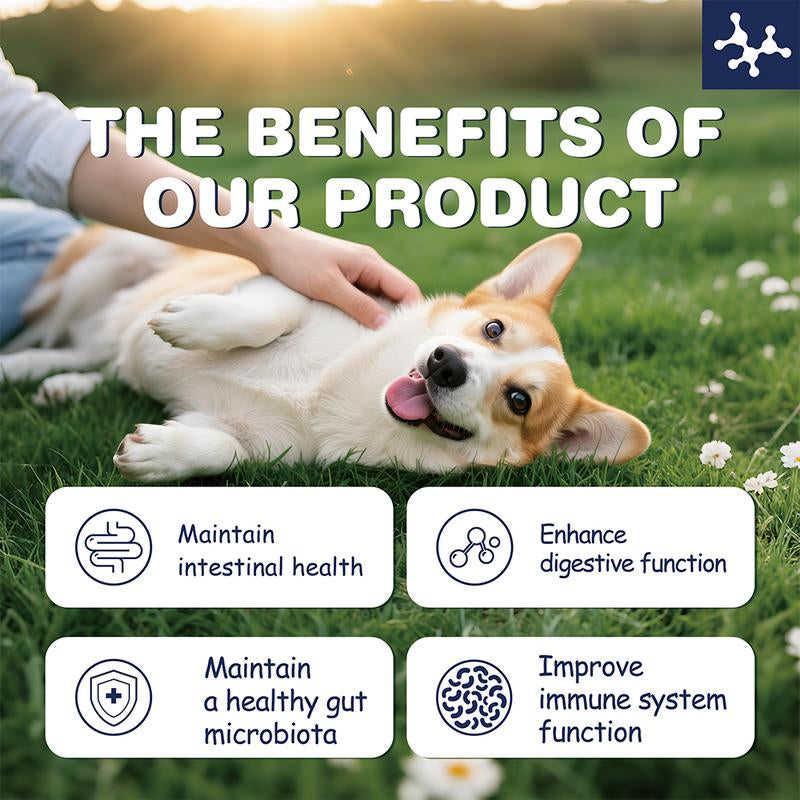 Dog&Cat Probiotic Bites, 50 Billion Probiotics,Maintain Intestinal Health,Improve Immune System Function,Nutritional Supplement Animal