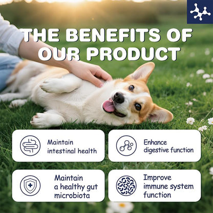 Dog&Cat Probiotic Bites, 50 Billion Probiotics,Maintain Intestinal Health,Improve Immune System Function,Nutritional Supplement Animal