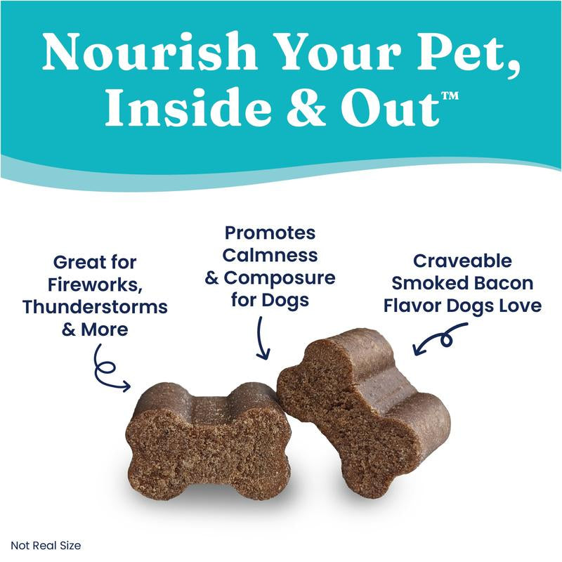 Solid Gold Calming Chews for Dogs, Gut & Immune Support Supplement + Melatonin for Chill Pups