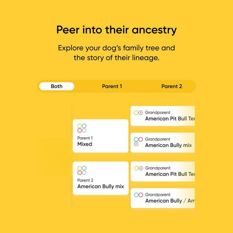 Breed + Health Dog DNA Test