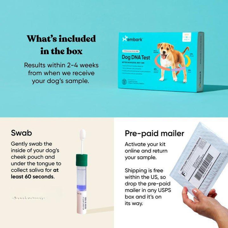 Breed + Health Dog DNA Test