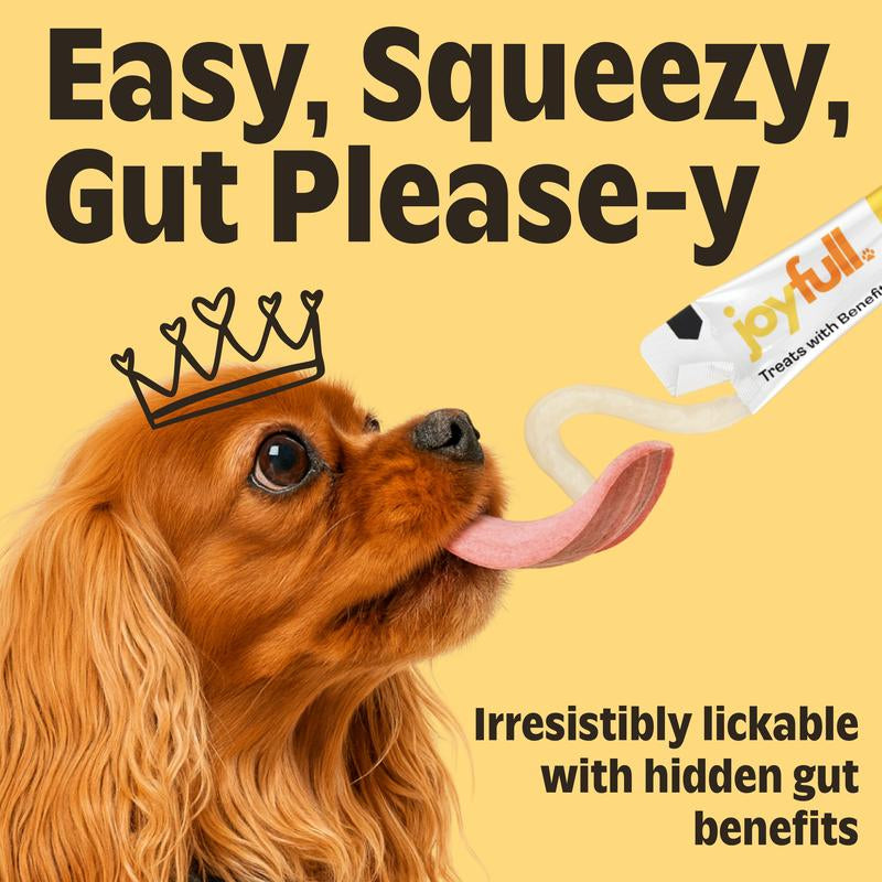 Joyfull Prebiotic Chicken Squeeze Treats for Dogs - 24 Packets with Benefits - 12 Oz Total Net Weight